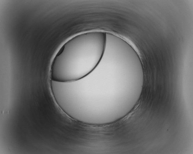 X0000094911532200712271502