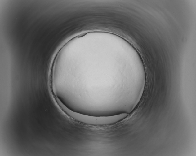 X0000094911536200712271502