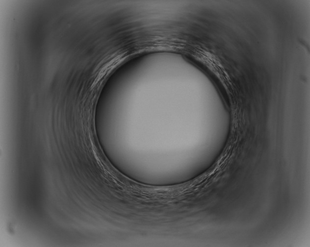 X0000094920001200711291033