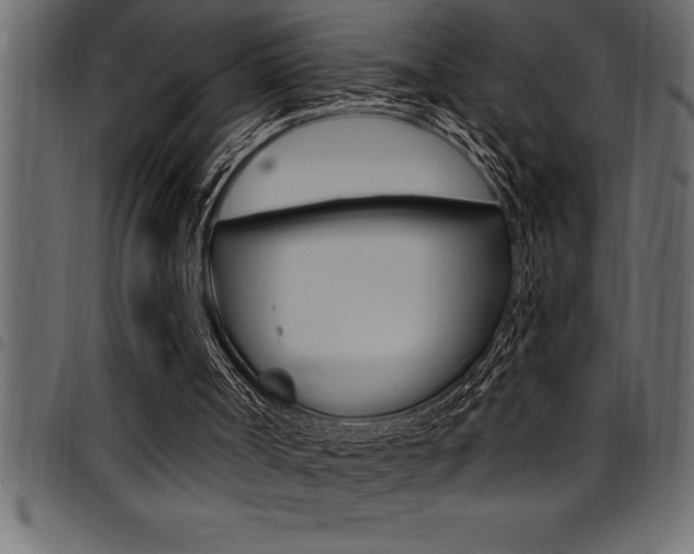 X0000094920002200711291033