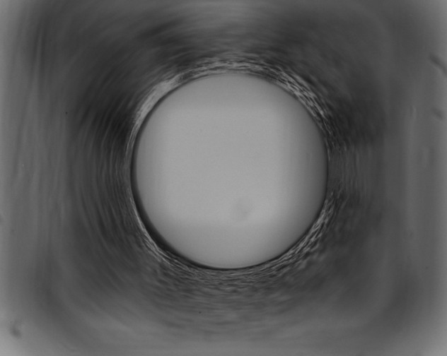 X0000094920003200711291033