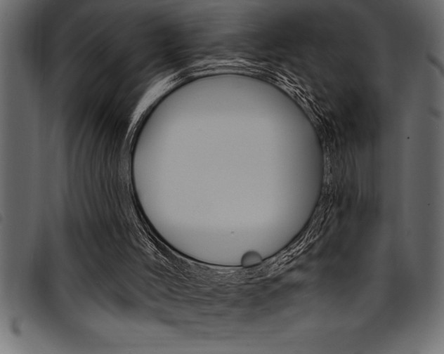 X0000094920004200711291033