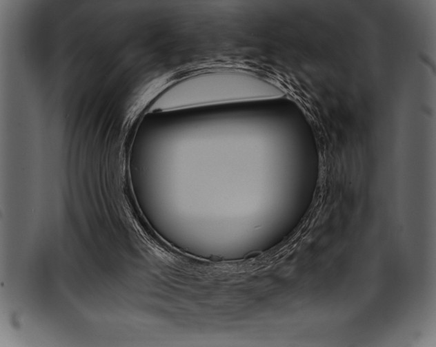 X0000094920005200711291033
