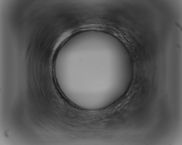 X0000094920006200711291033