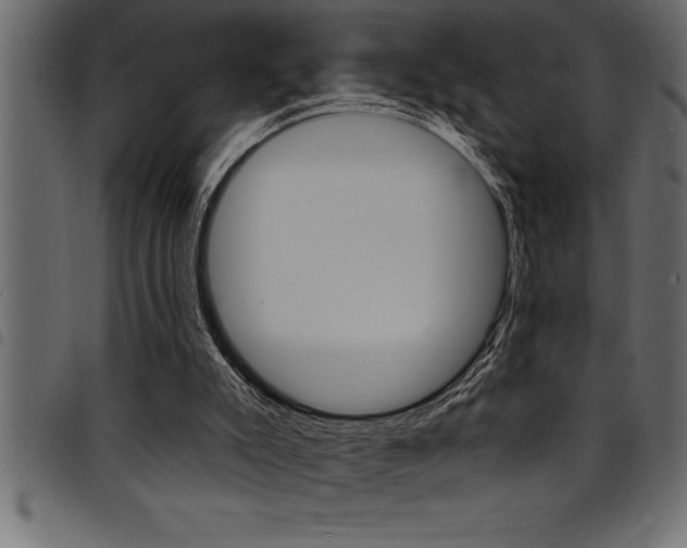 X0000094920007200711291033
