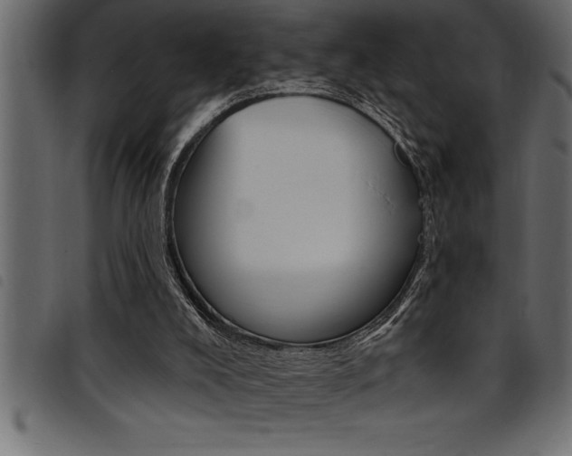 X0000094920008200711291033
