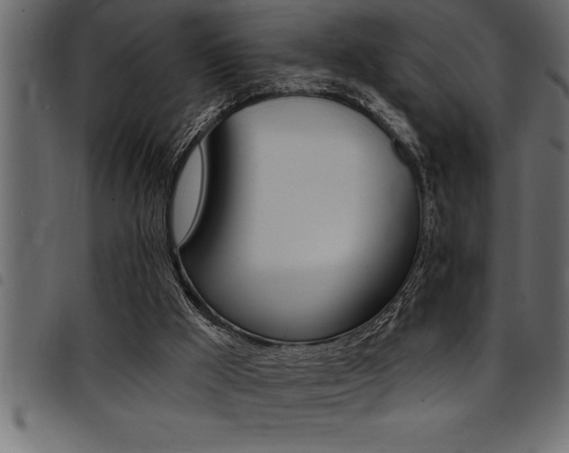 X0000094920009200711291033