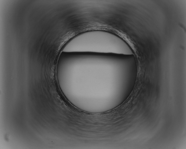 X0000094920010200711291033