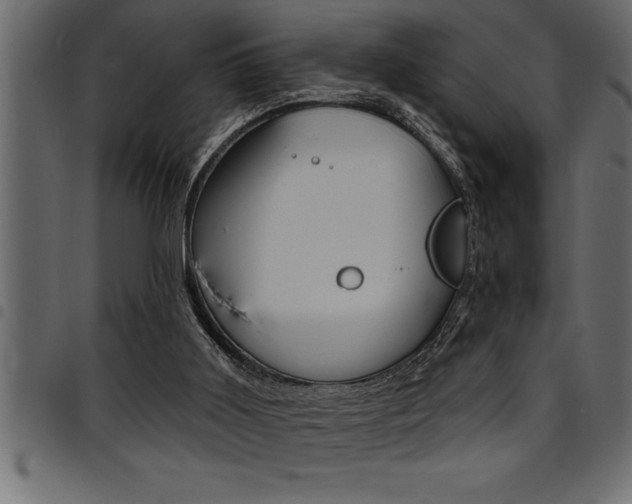 X0000094920011200711291033