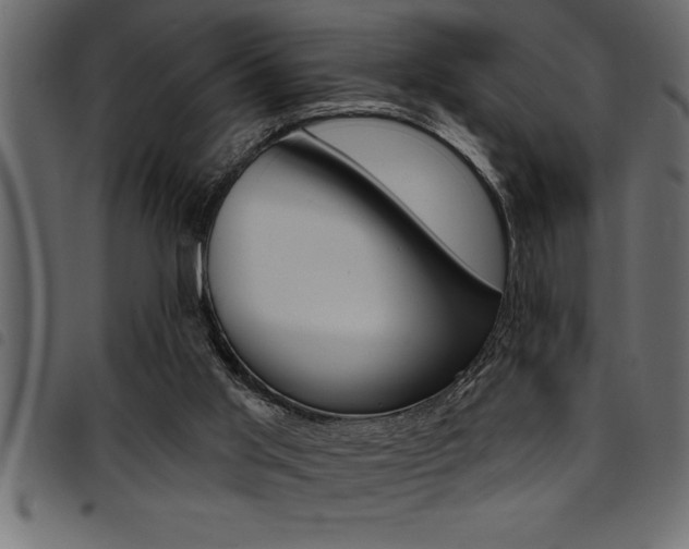 X0000094920013200711291033