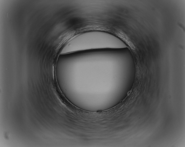 X0000094920014200711291033