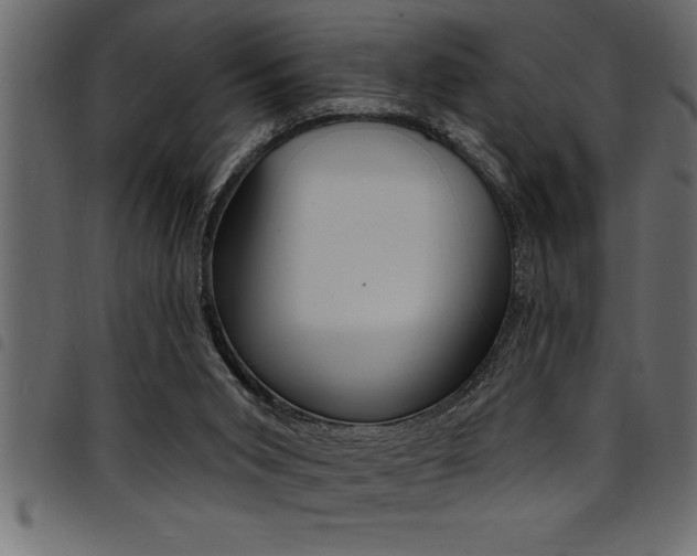 X0000094920015200711291033