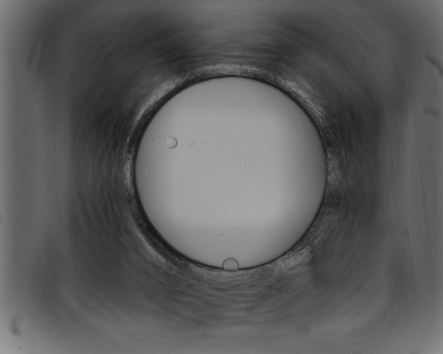 X0000094920016200711291033