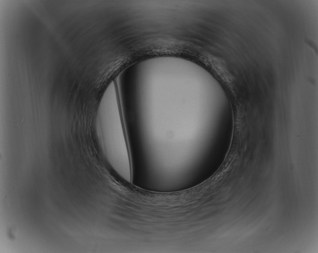 X0000094920017200711291033