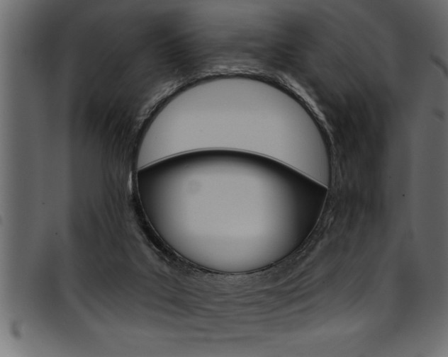 X0000094920019200711291033