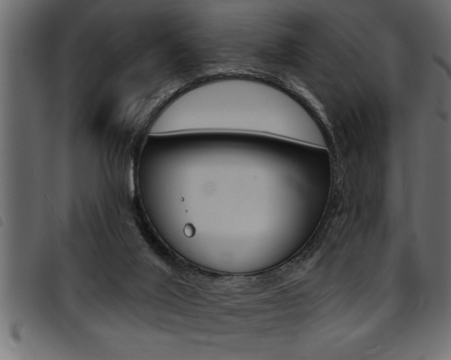 X0000094920020200711291033