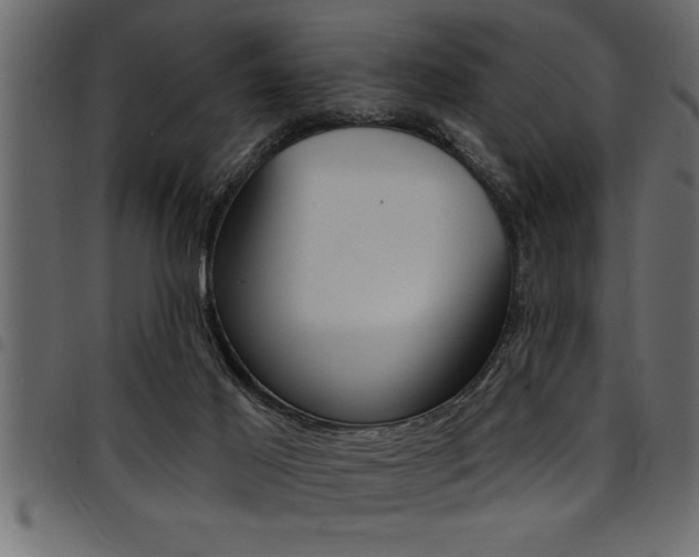 X0000094920021200711291033