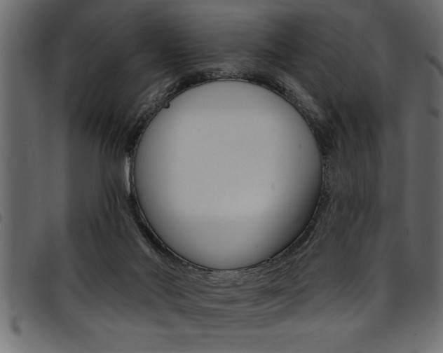 X0000094920022200711291033