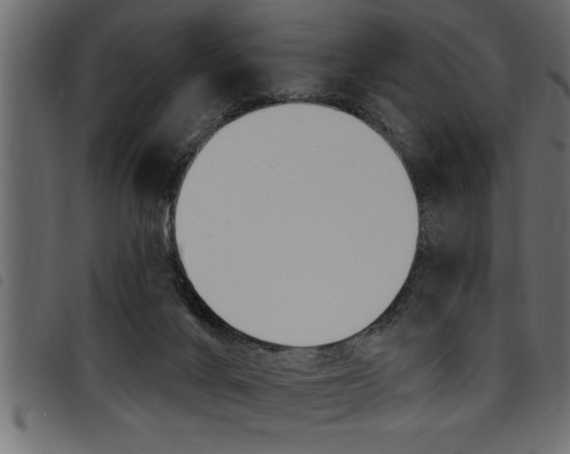 X0000094920024200711291033