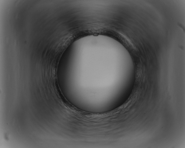 X0000094920025200711291033