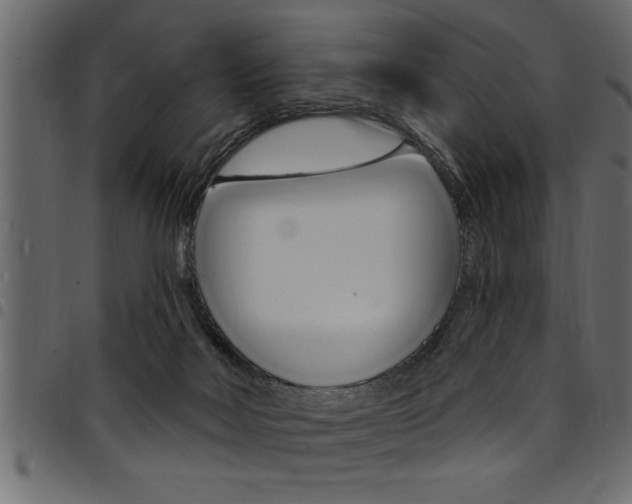 X0000094920026200711291033