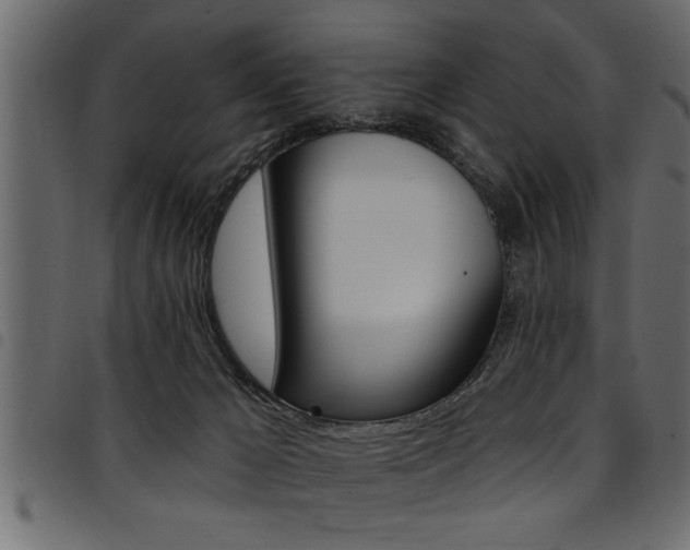 X0000094920029200711291033