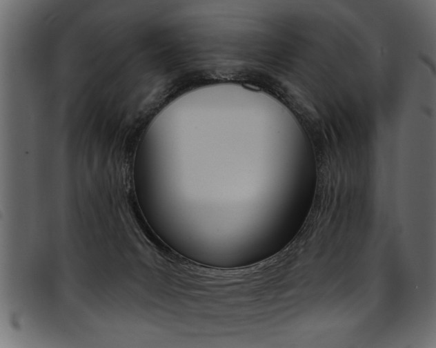 X0000094920031200711291033