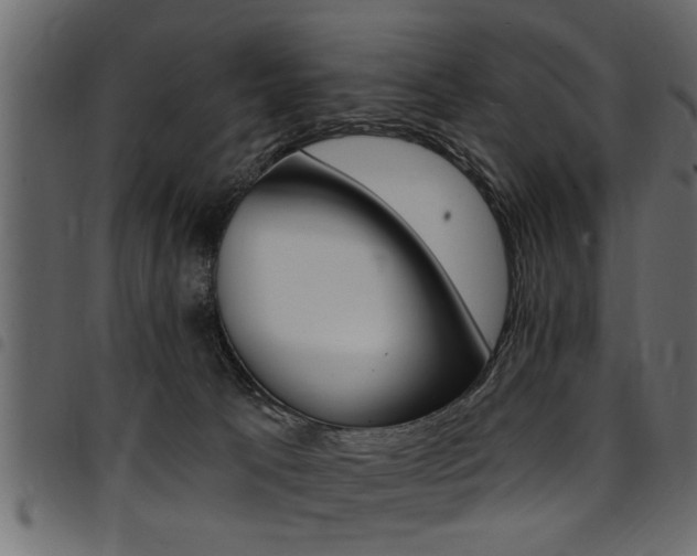 X0000094920033200711291033