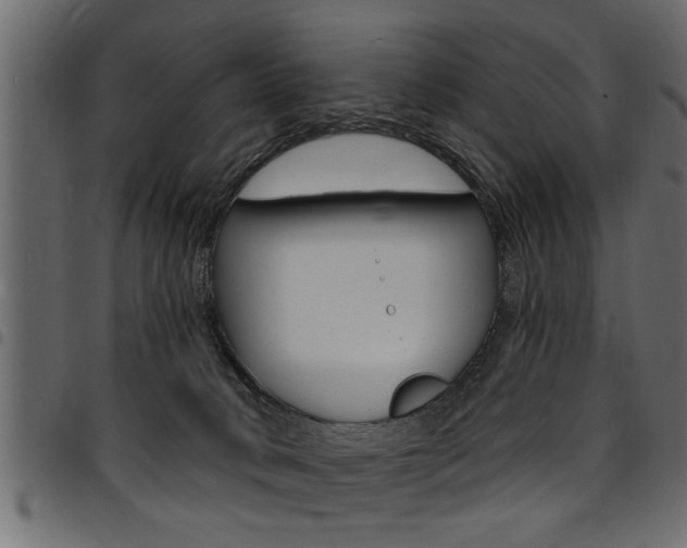 X0000094920034200711291033