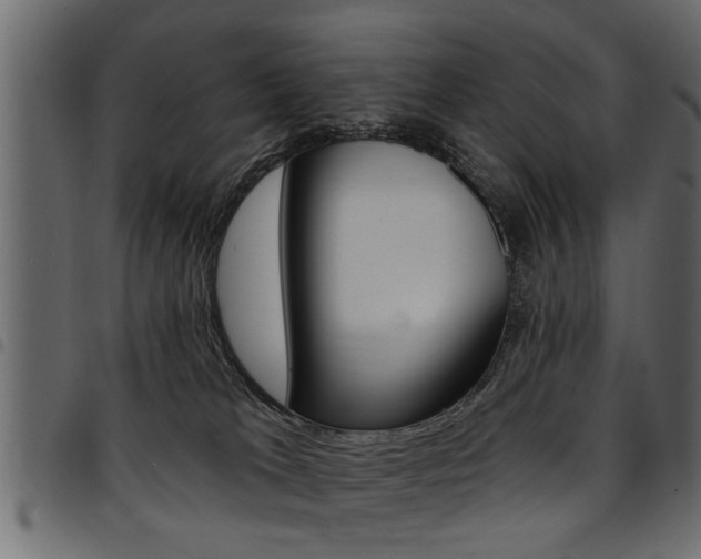 X0000094920037200711291033