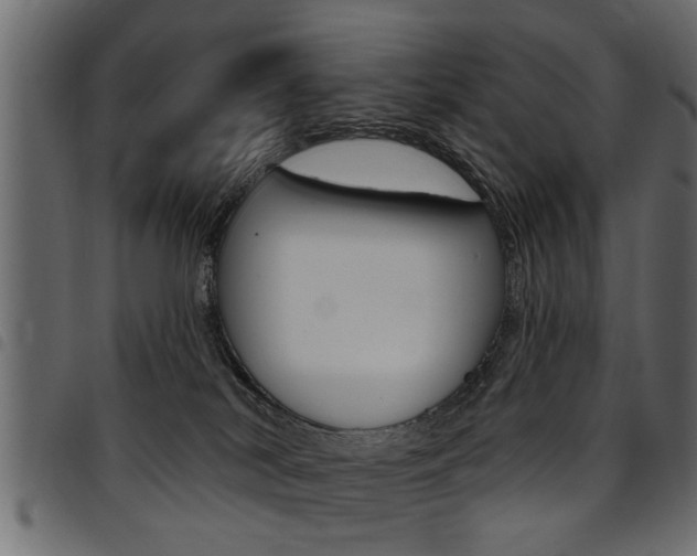 X0000094920038200711291033