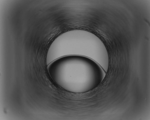 X0000094920039200711291033