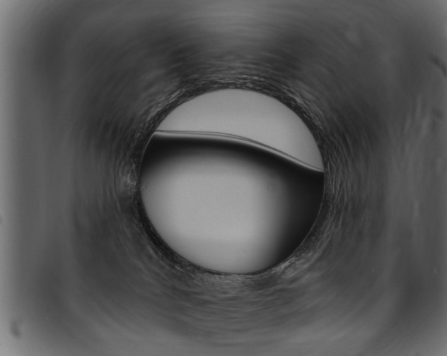 X0000094920040200711291033