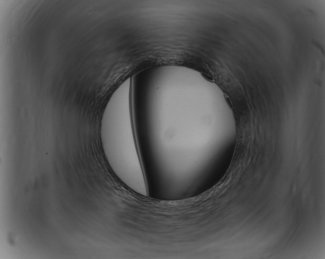 X0000094920041200711291033