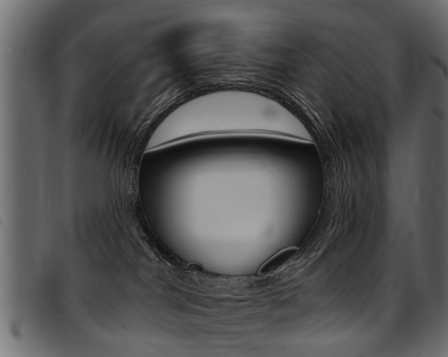 X0000094920044200711291032