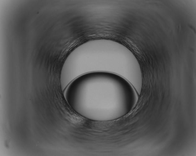 X0000094920045200711291032