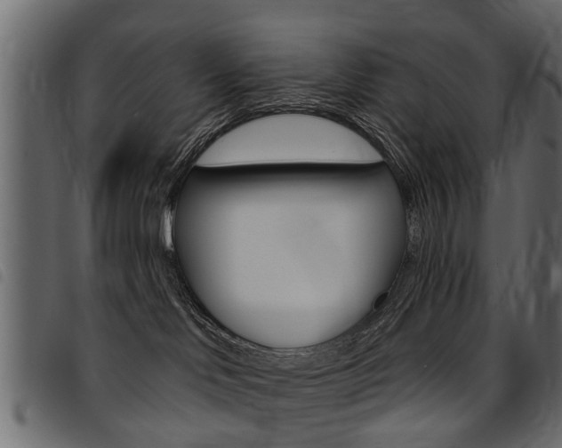 X0000094920046200711291032