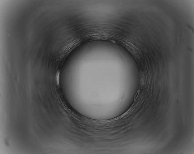 X0000094920047200711291032