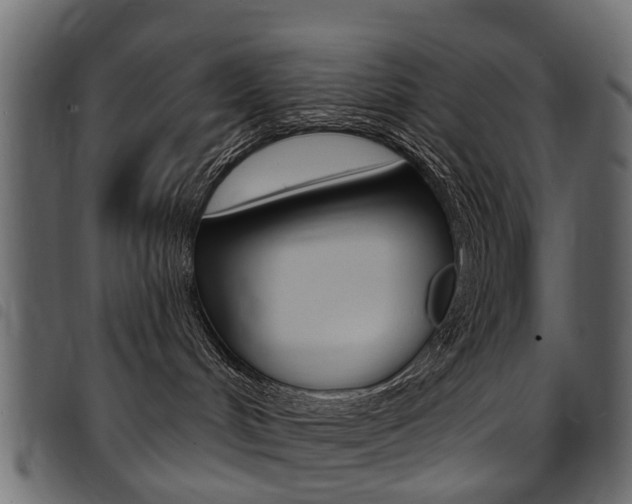 X0000094920048200711291032