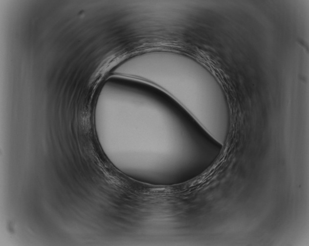 X0000094920050200711291032