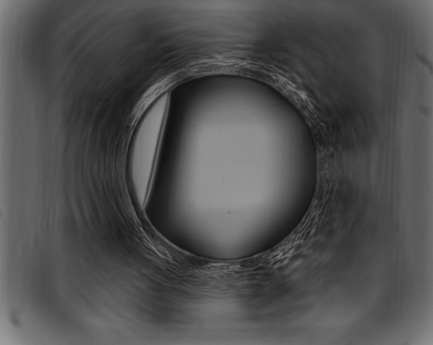 X0000094920051200711291032