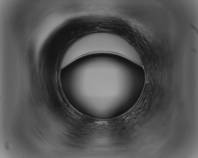 X0000094920052200711291032