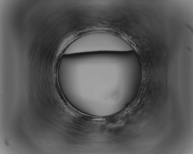 X0000094920053200711291032
