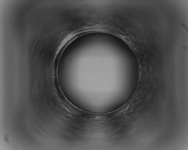 X0000094920056200711291032