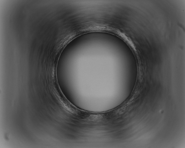 X0000094920057200711291032