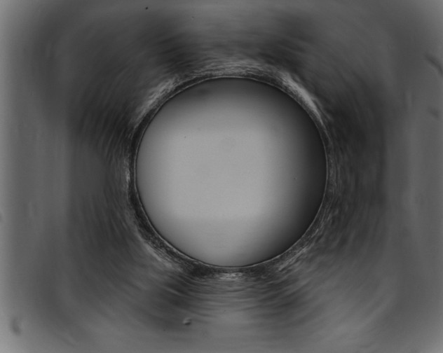 X0000094920059200711291032