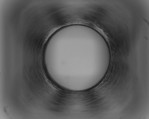 X0000094920060200711291032