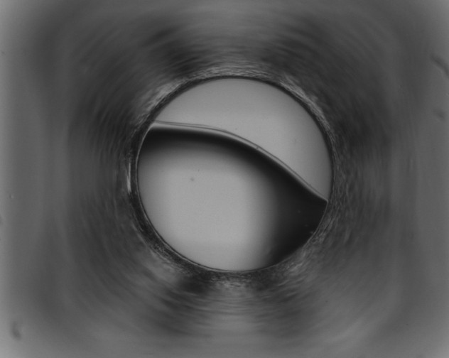 X0000094920062200711291032