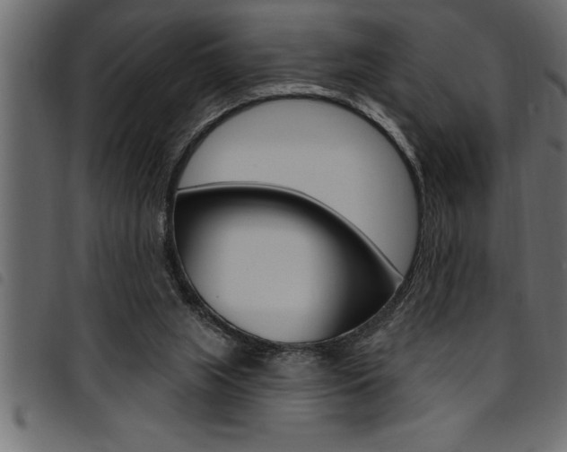 X0000094920063200711291032