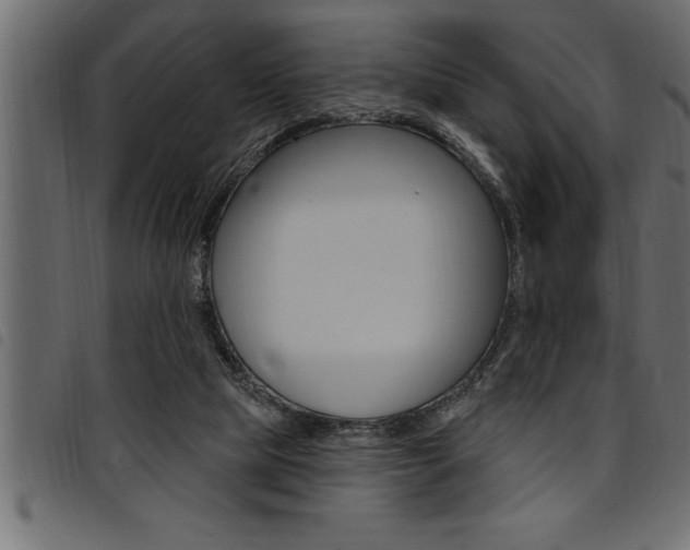 X0000094920065200711291032